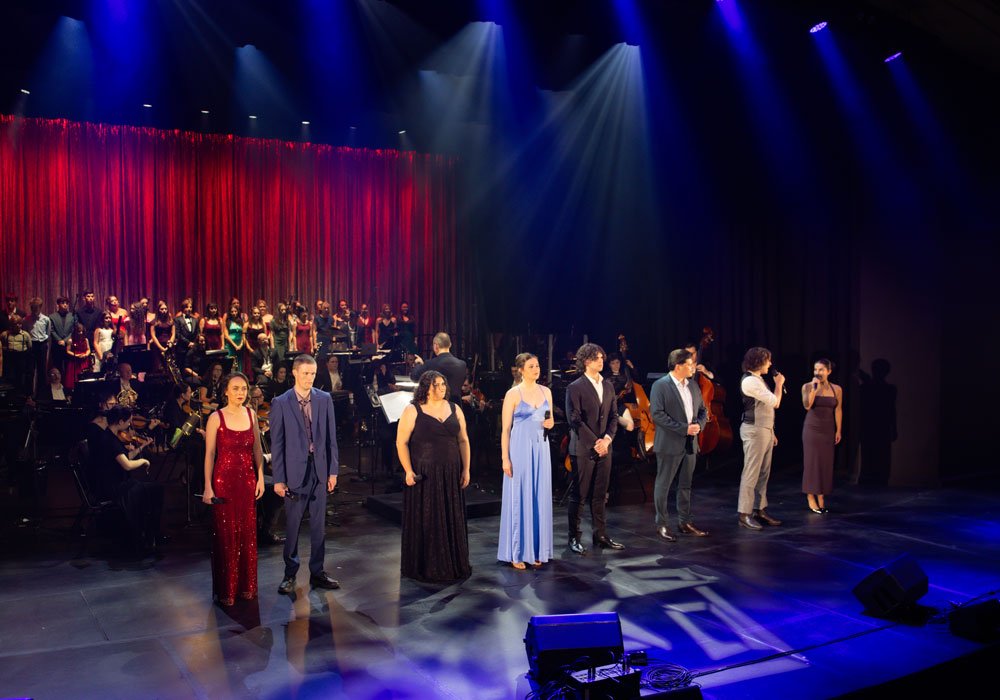 Theatrical Symphony ensemble performing at a live concert
